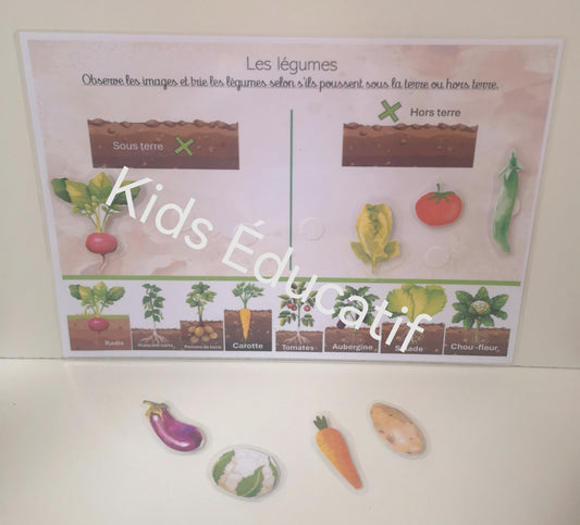 🌸 Printemps 5-6 ans | Matériel inclus