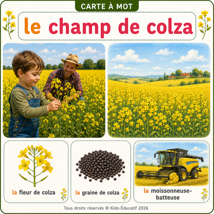 Carte à mot – La ferme PDF