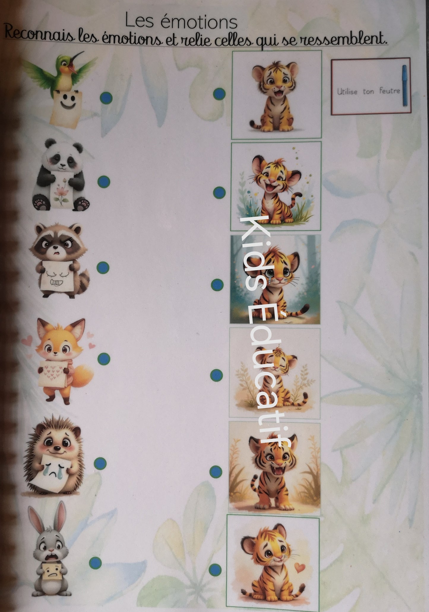 Livret éducatif thème les émotions, 4-5 ans ans