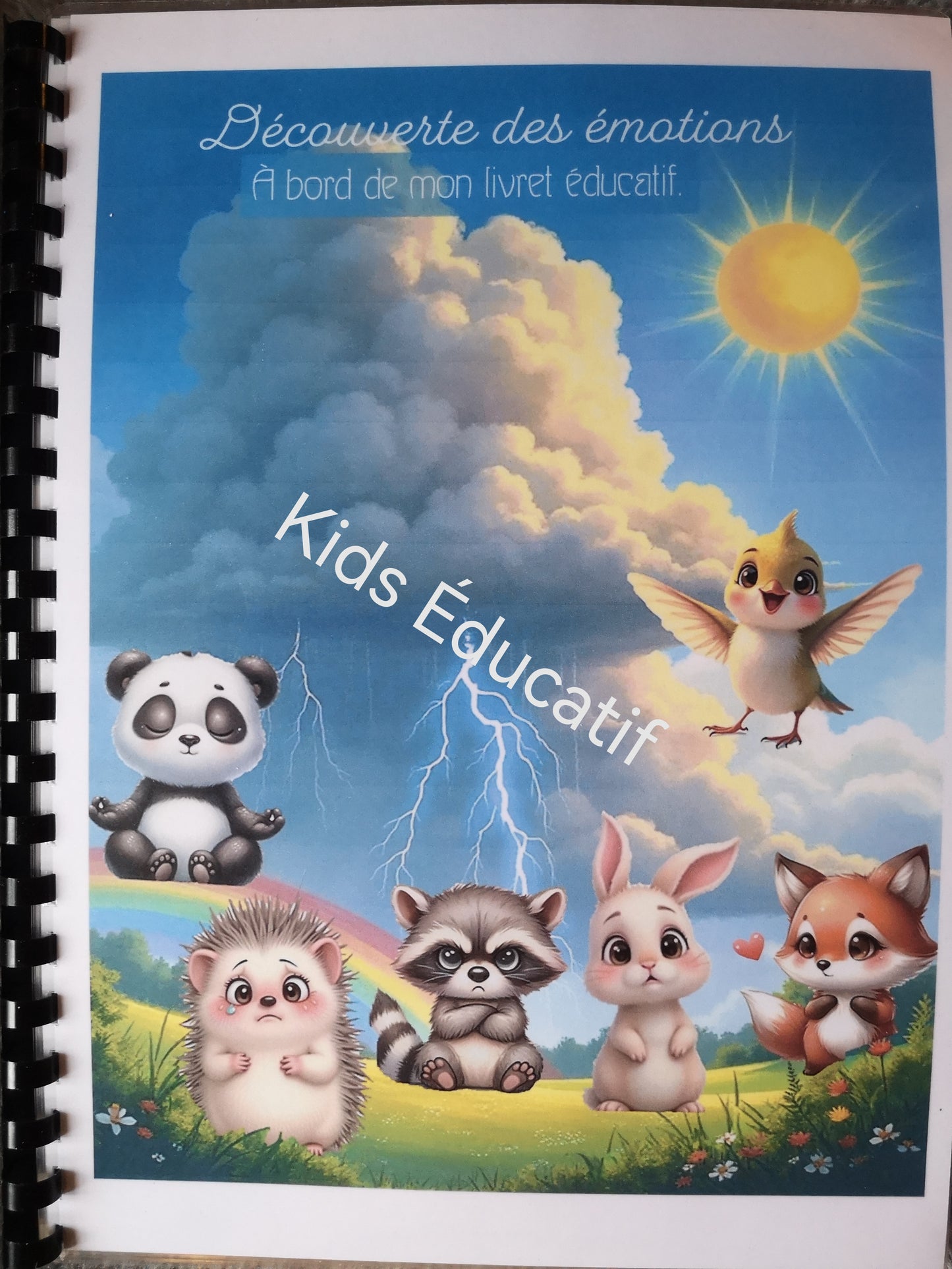 Livret éducatif thème les émotions, 4-5 ans ans