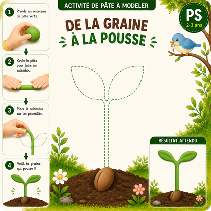 De la graine à la pousse - Activité pâte à modeler PS 2-3 ans