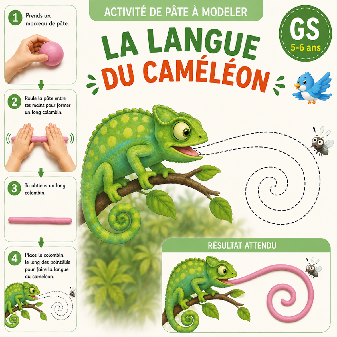 La Langue du Caméléon - Fiche pâte à modeler GS 5-6 ans