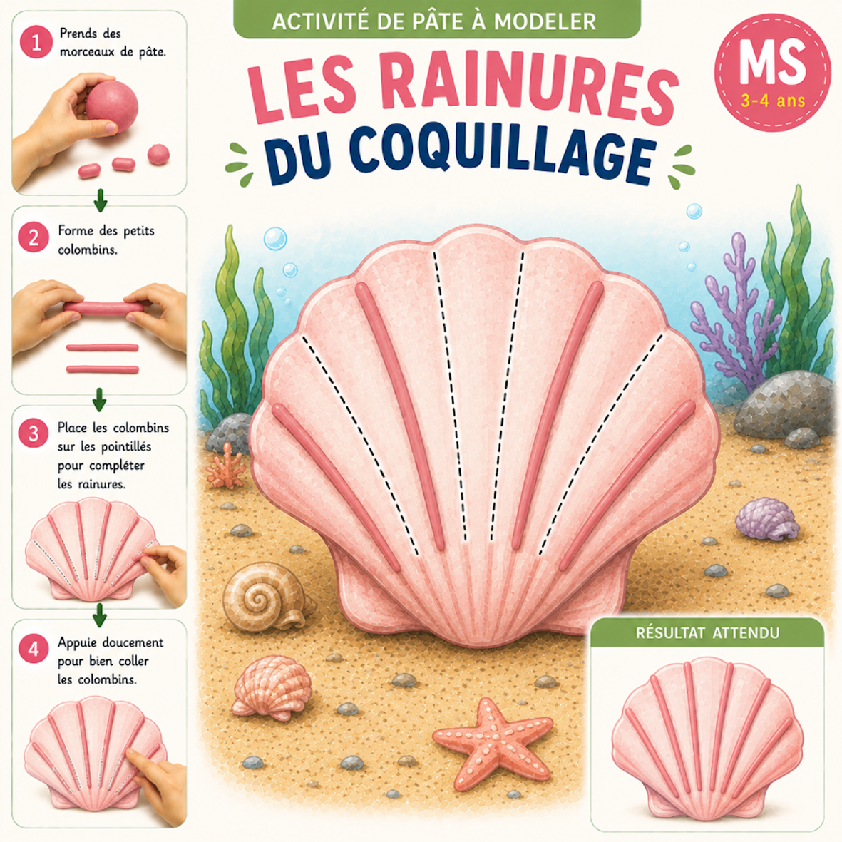 Les Rainures du Coquillage - Fiche pâte à modeler MS 3-4 ans
