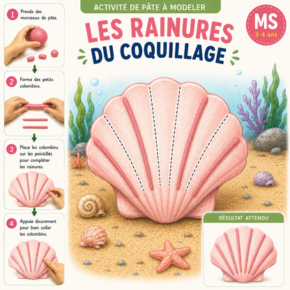 Les Rainures du Coquillage - Fiche pâte à modeler MS 3-4 ans