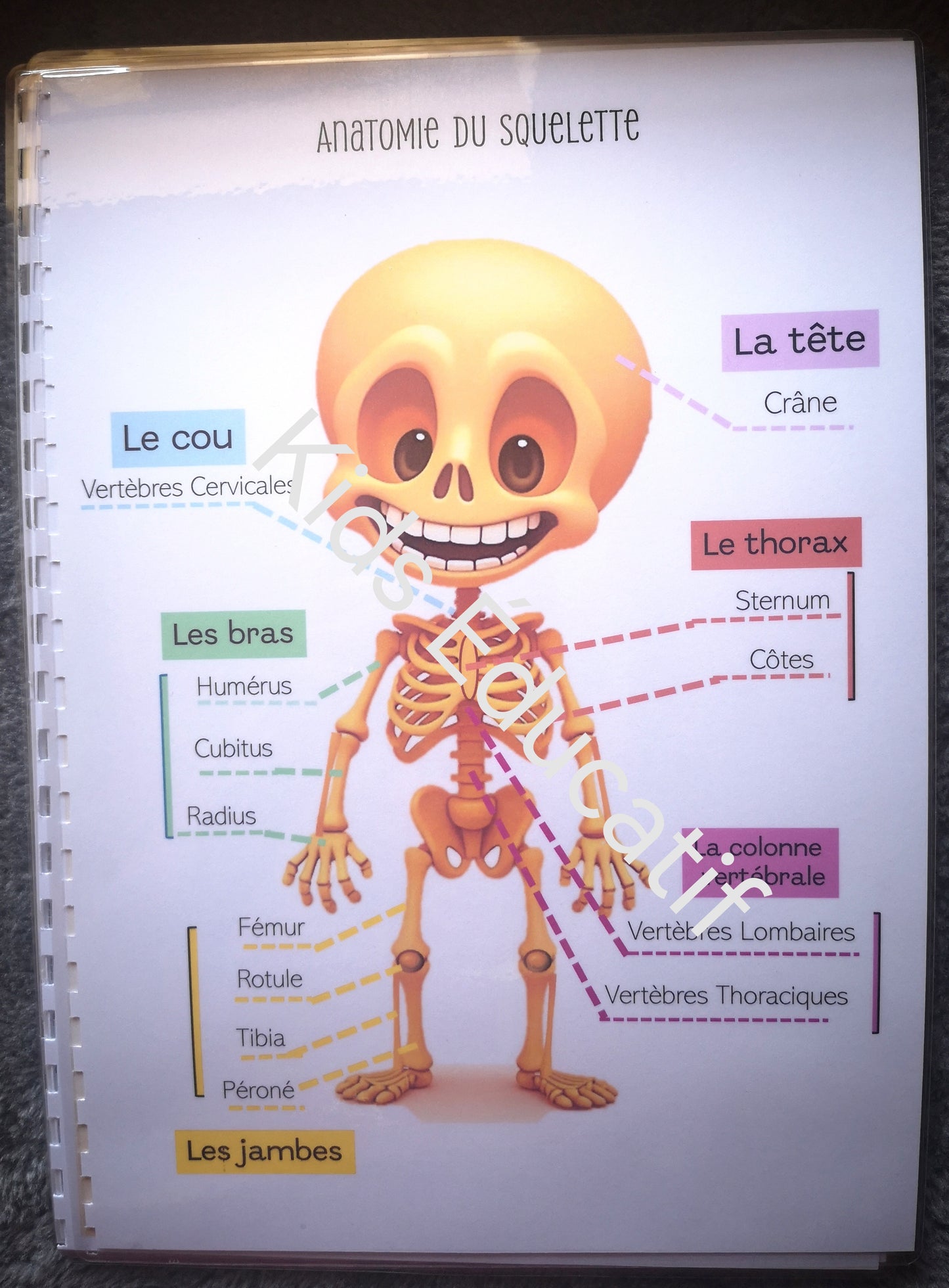 Mes petites mains "corps humain" - cahier d'activités 5-6 ans