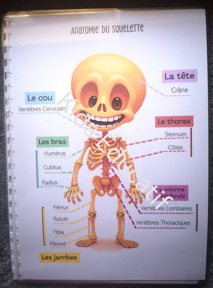 Mes petites mains "corps humain" - cahier d'activités 5-6 ans