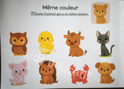 j'apprends les couleurs avec les animaux, dès 18 mois