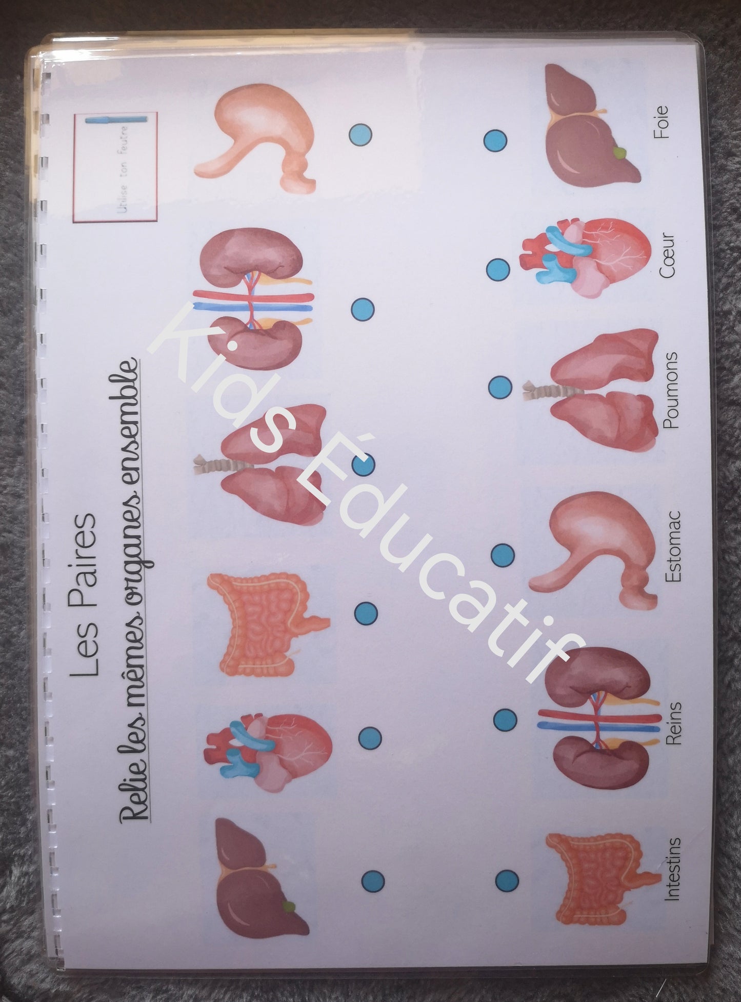 Mes petites mains "corps humain" - cahier d'activités 5-6 ans