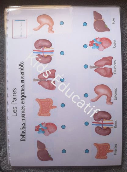 Mes petites mains "corps humain" - cahier d'activités 5-6 ans