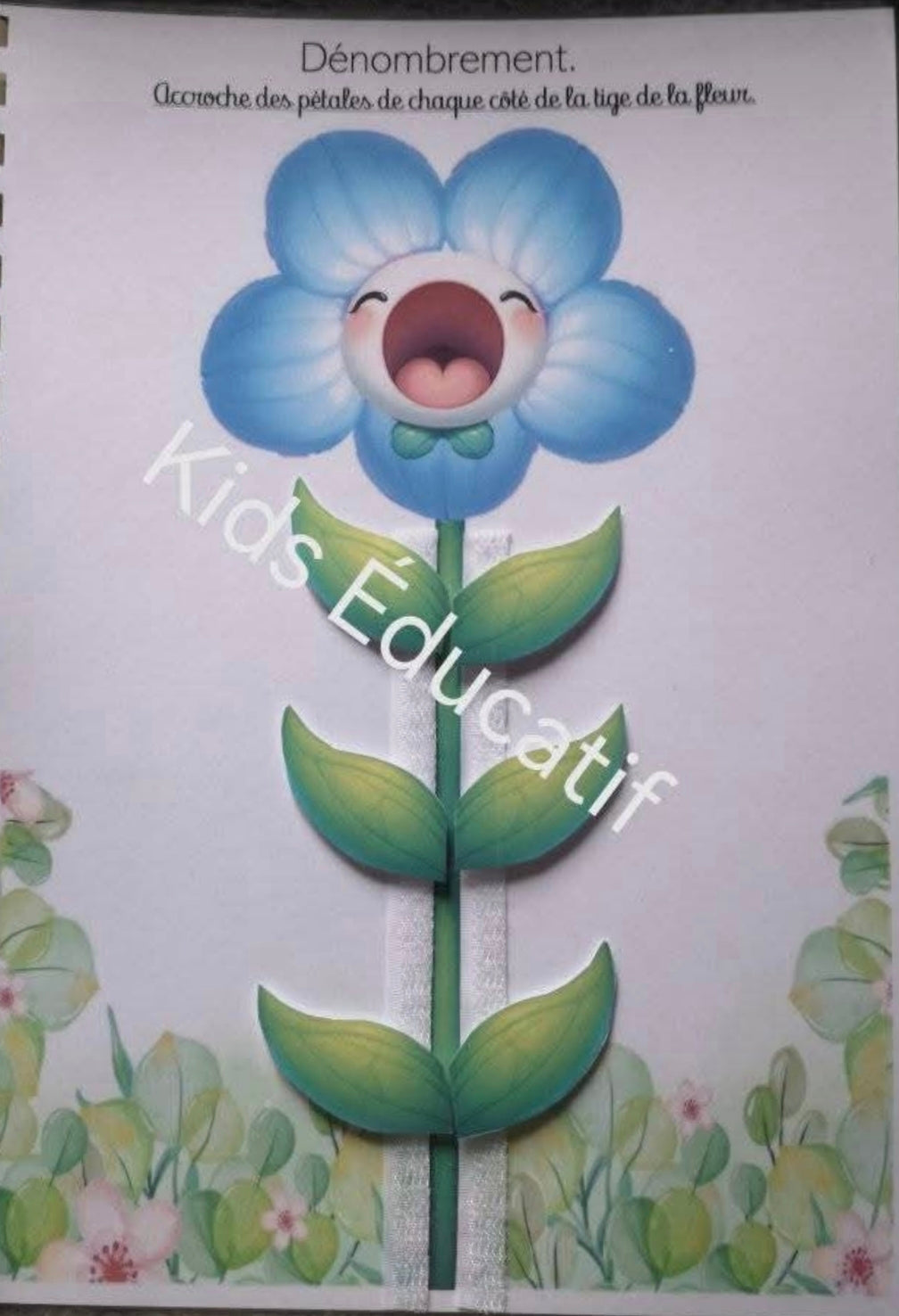 🌸 Printemps  2-3 ans | Matériel inclus
