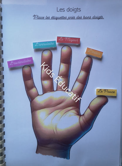 Mes petites mains" corps humain"- cahier d'activités 3-4 ans