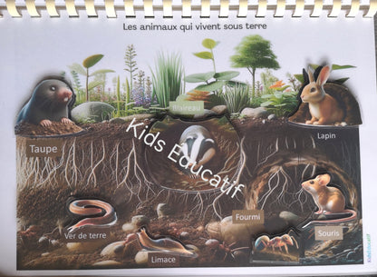 Livret les animaux du monde,  vocabulaires, 3-6 ans