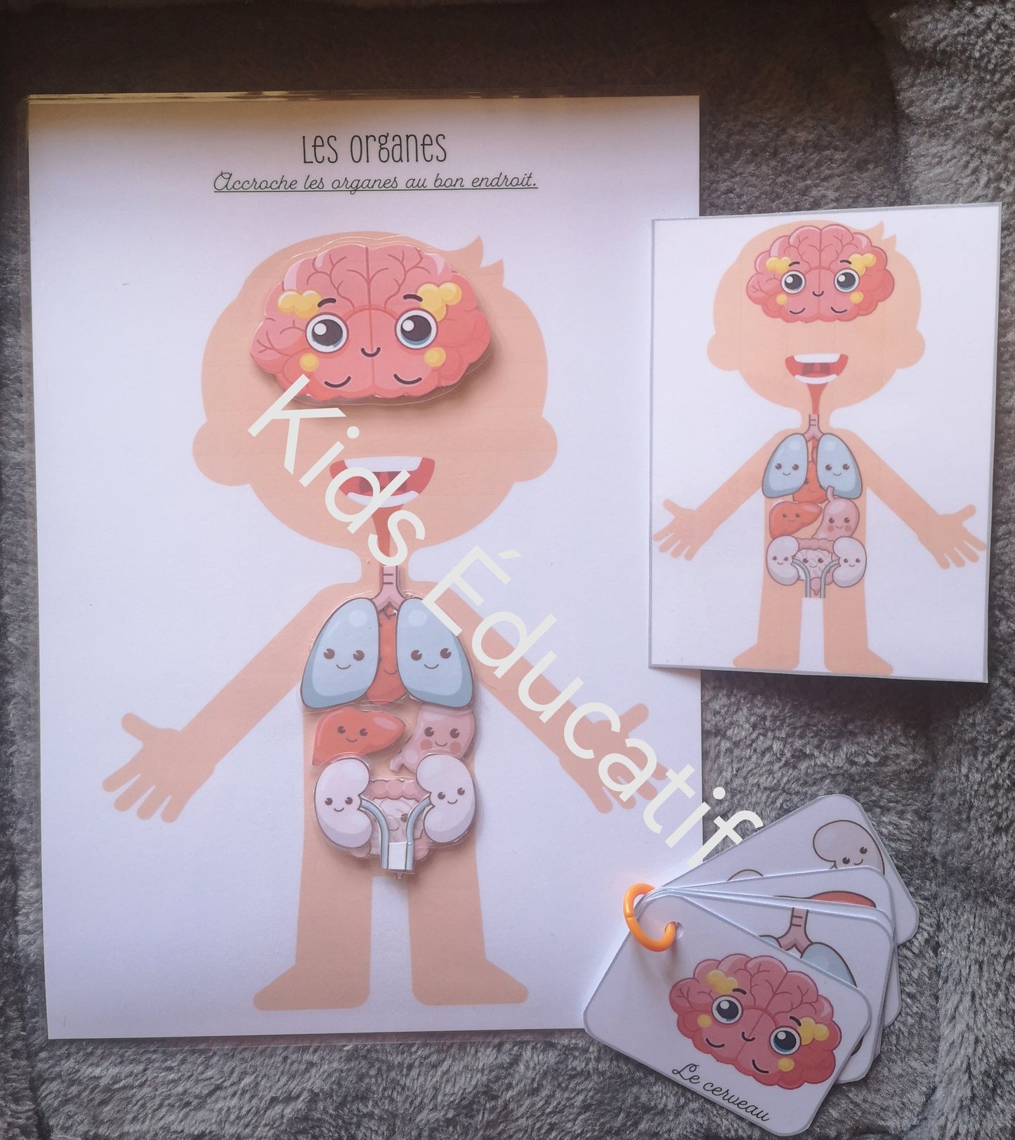 Mes petites mains "corps humain" - cahier d'activités 5-6 ans