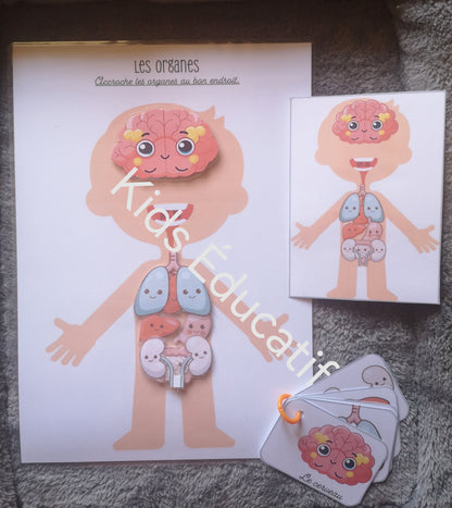 Mes petites mains "corps humain" - cahier d'activités 5-6 ans