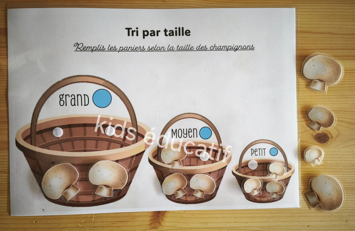 livret éducatif pour la maternelle "automne", Multi activités,2-3ans