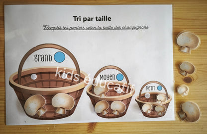 livret éducatif pour la maternelle "automne", Multi activités,2-3ans
