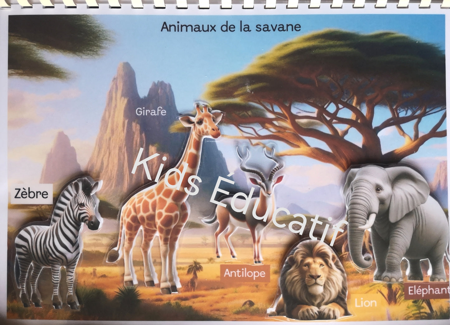 Livret les animaux du monde,  vocabulaires, 3-6 ans