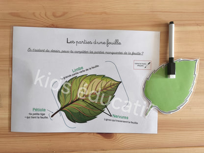 🌿 Fleurs & végétaux  3-5 ans - Matériel inclus