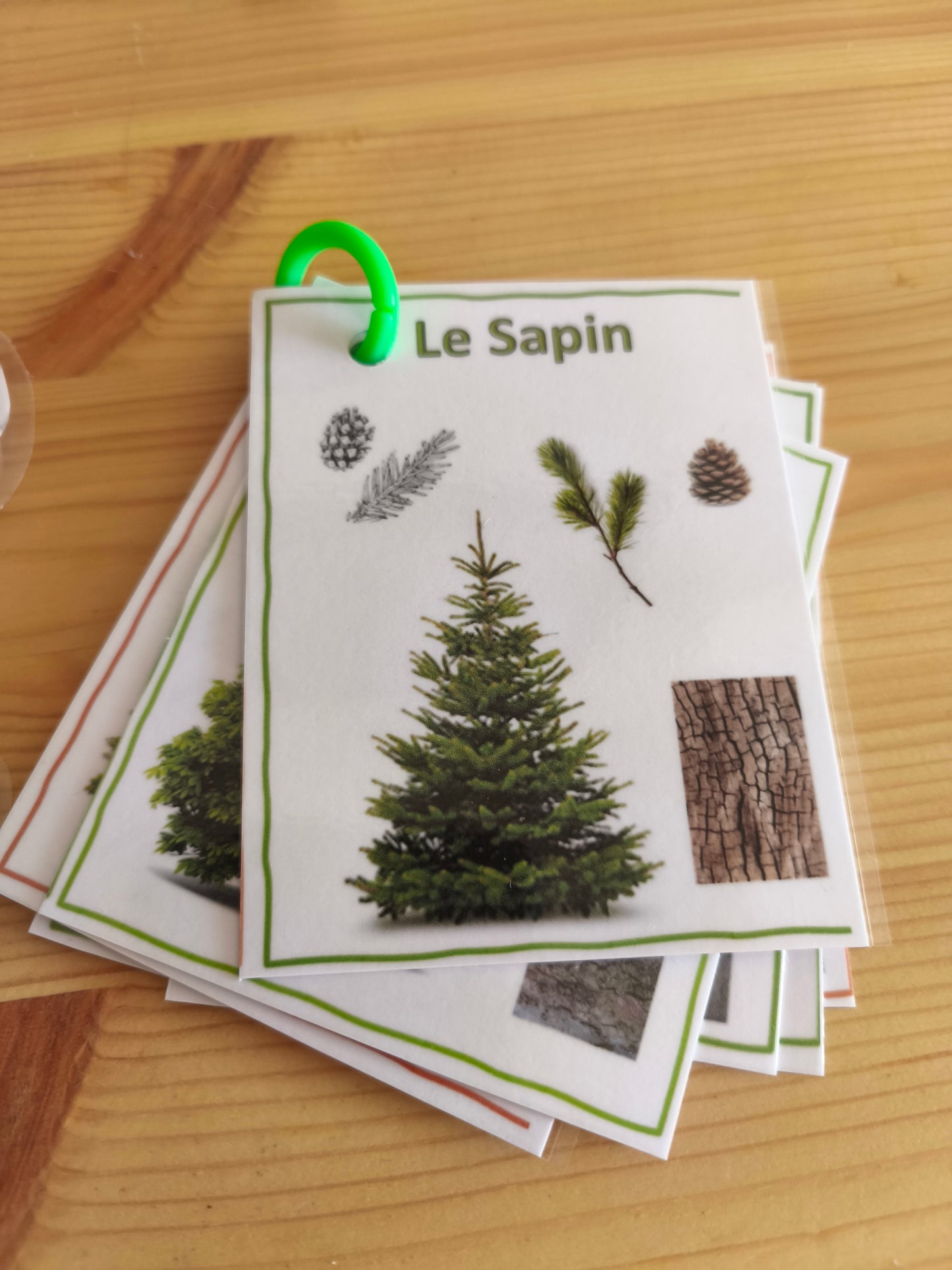 🌿 Fleurs & végétaux  3-5 ans - Matériel inclus