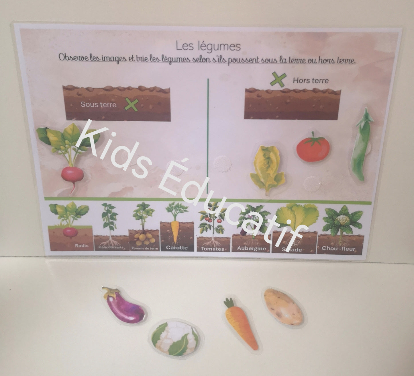 🌸 Printemps  5-6 ans | Matériel inclus