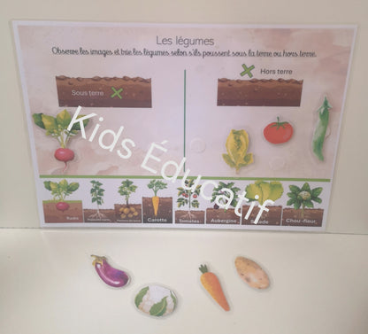 🌸 Printemps  5-6 ans | Matériel inclus