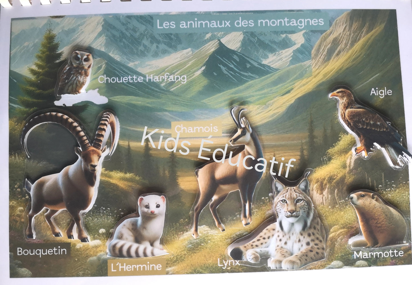 Livret les animaux du monde,  vocabulaires, 3-6 ans