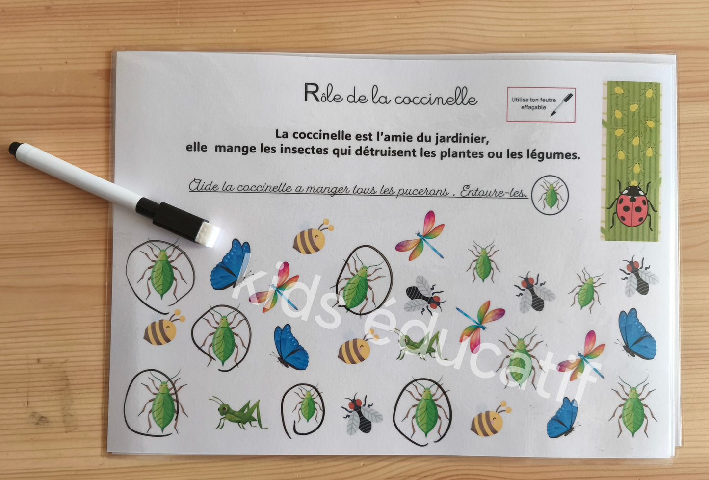 🌿 Fleurs & végétaux  3-5 ans - Matériel inclus