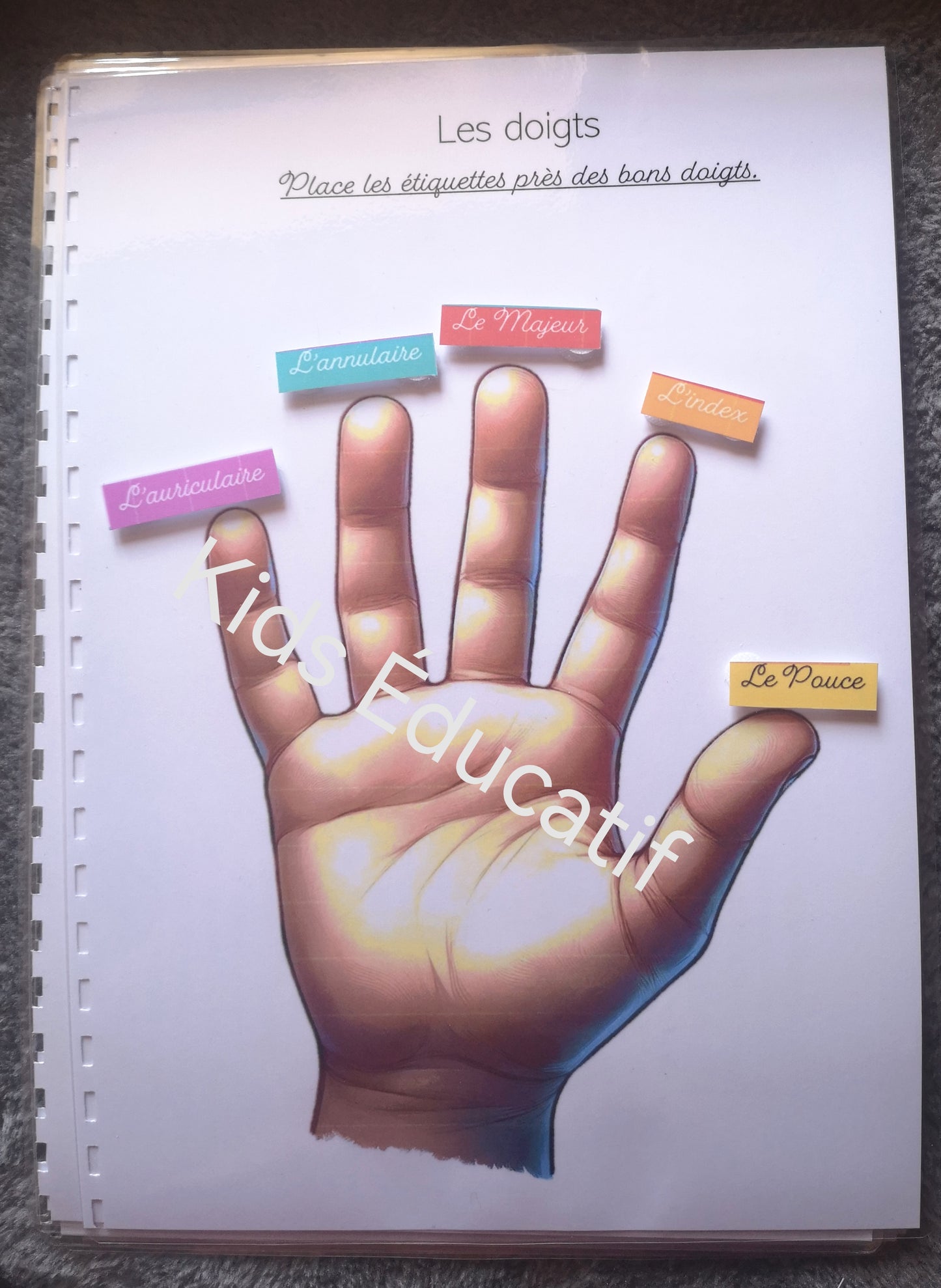 Mes petites mains "corps humain" - cahier d'activités 5-6 ans