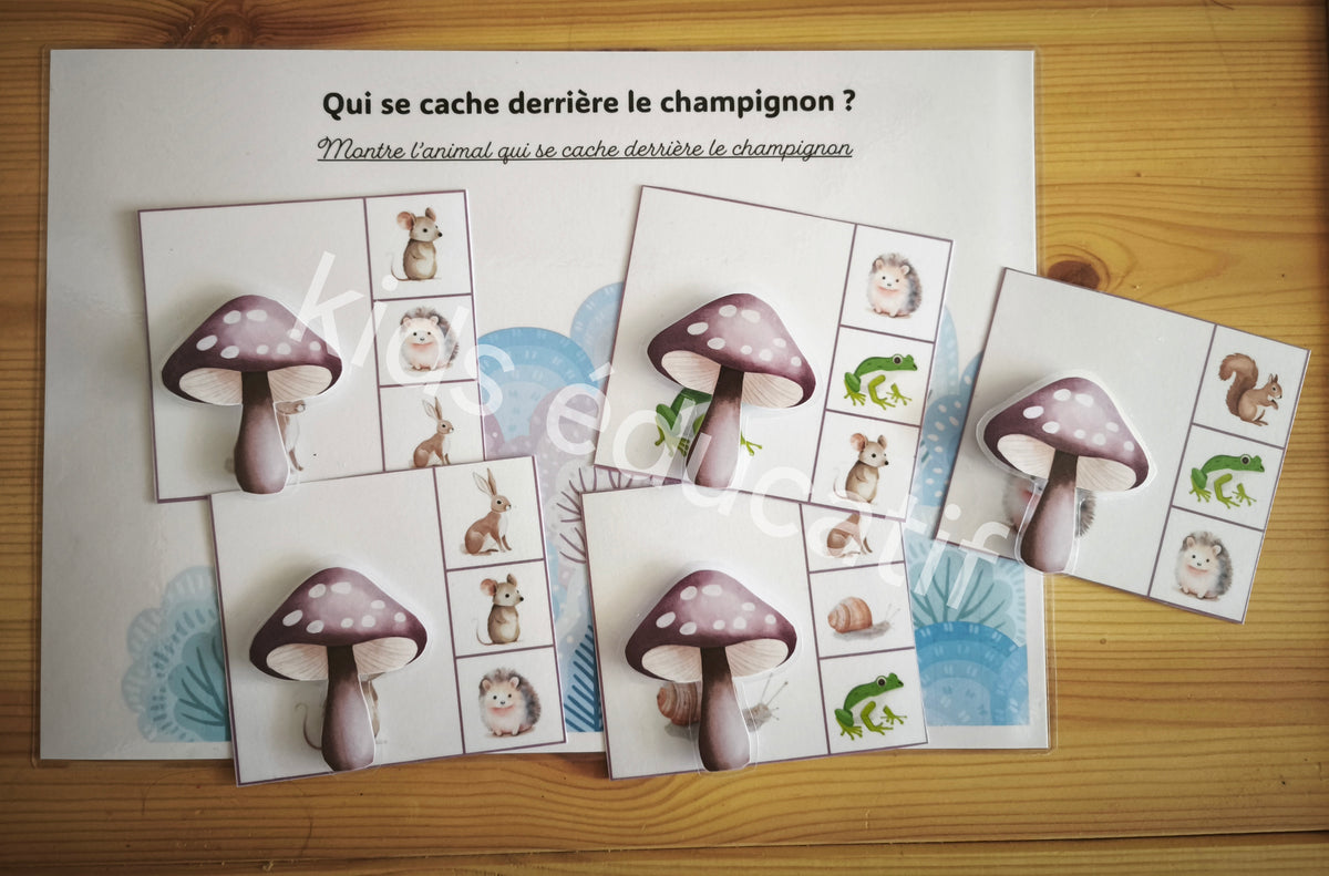 livret éducatif pour la maternelle "automne", Multi activités,2-3ans