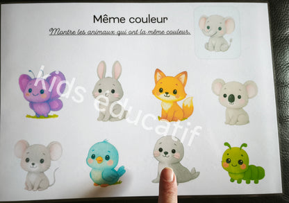 j'apprends les couleurs avec les animaux, dès 18 mois