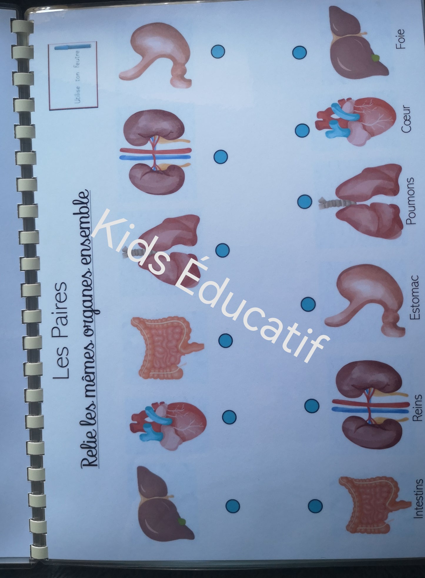 Mes petites mains" corps humain"- cahier d'activités 3-4 ans