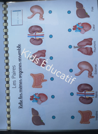 Mes petites mains" corps humain"- cahier d'activités 3-4 ans
